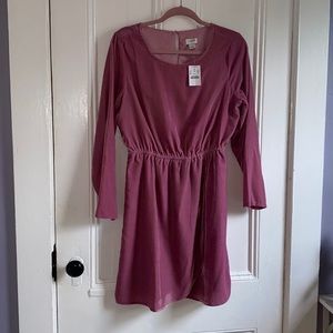 Brand new J Crew Pink velvet, above the knee dress.